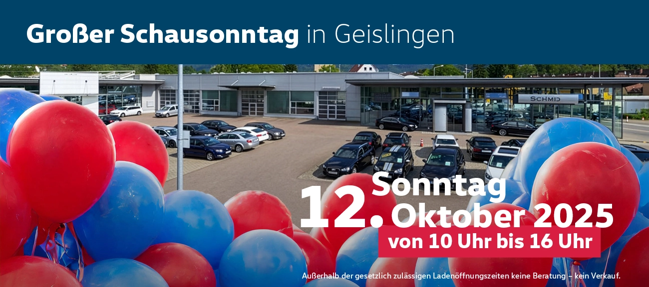 Schausonntag