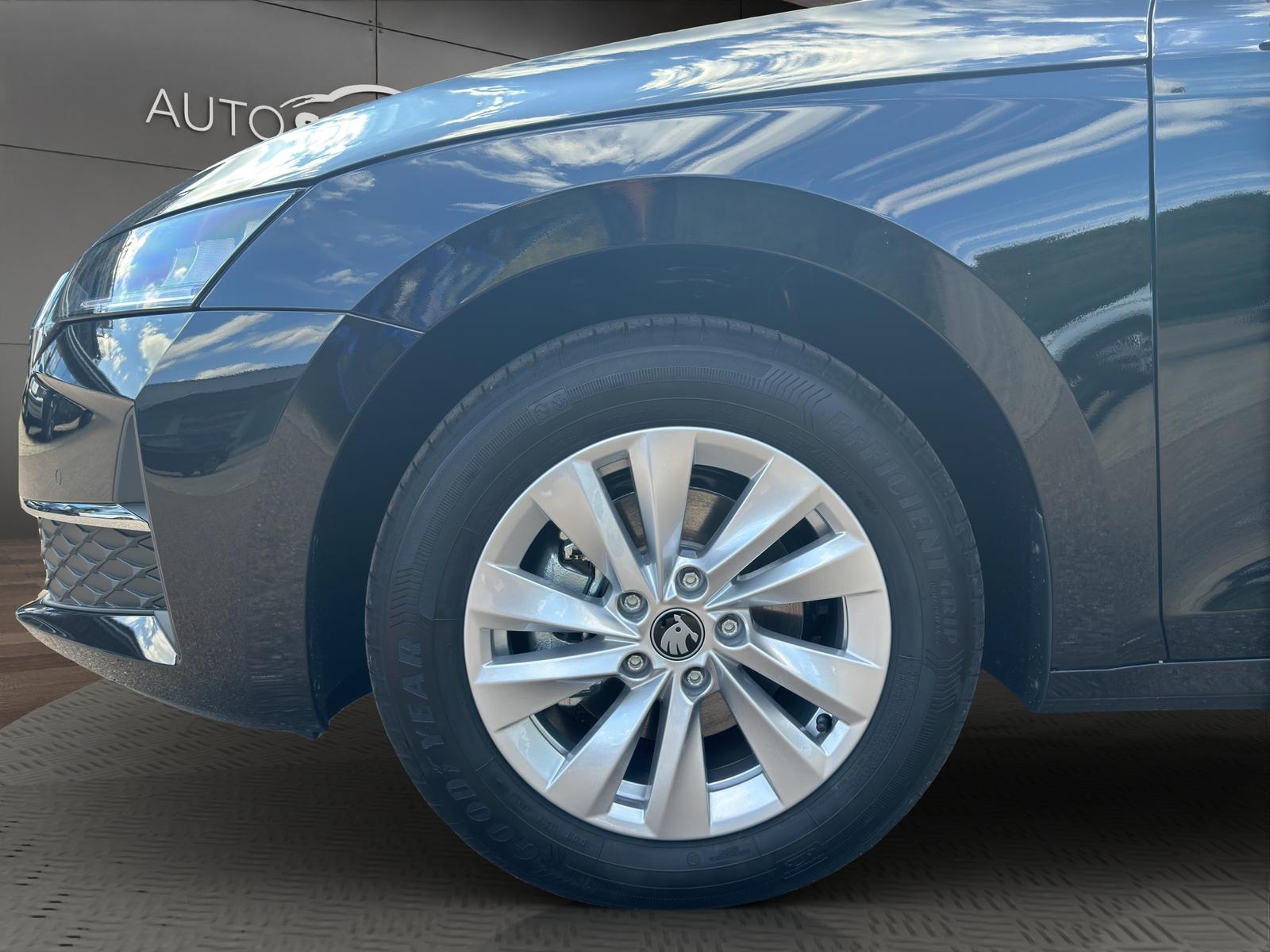 Octavia Selection 2.0 TDI DSG AHK RFK ACC APP LED