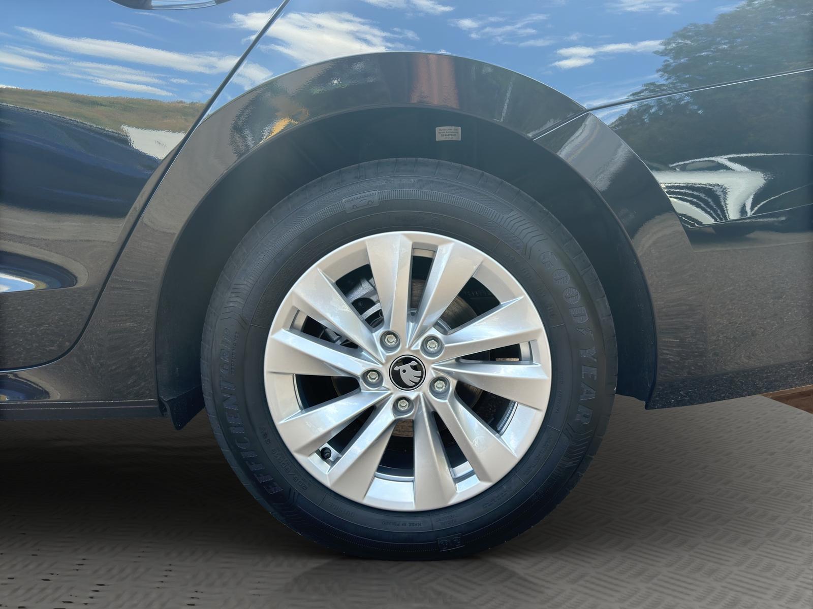 Octavia Selection 2.0 TDI DSG AHK RFK ACC APP LED