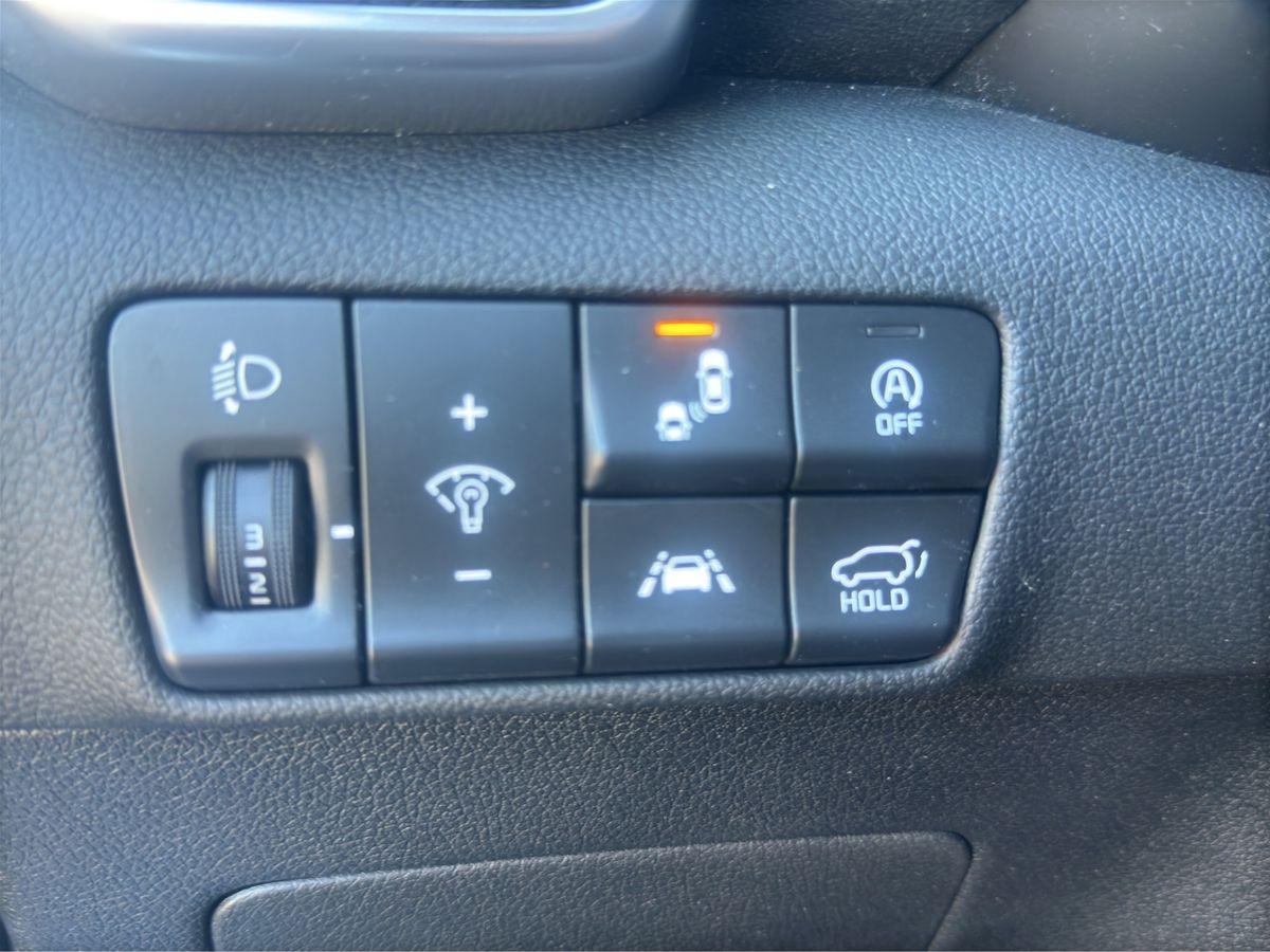 Sportage Platinum Edition 4WD PANO NAVI LED AHK