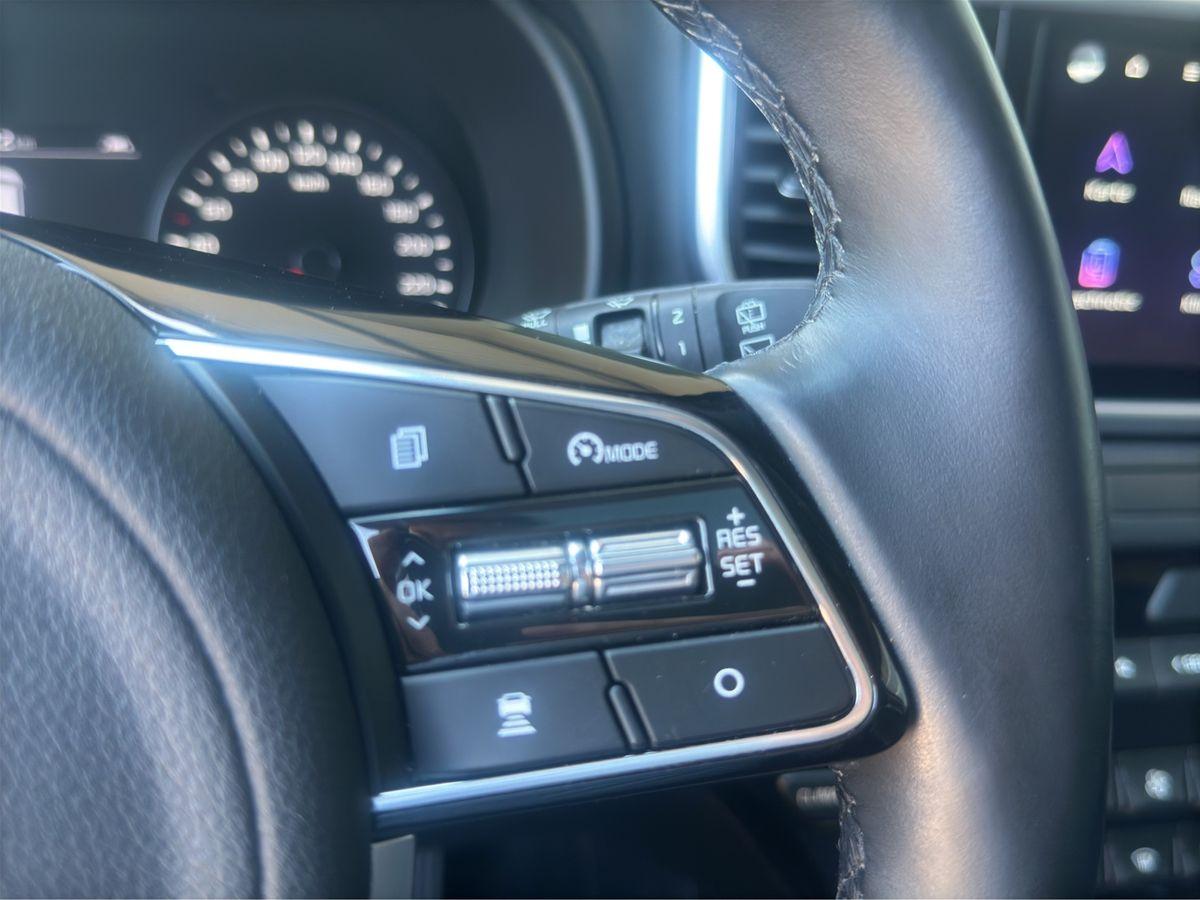 Sportage Platinum Edition 4WD PANO NAVI LED AHK