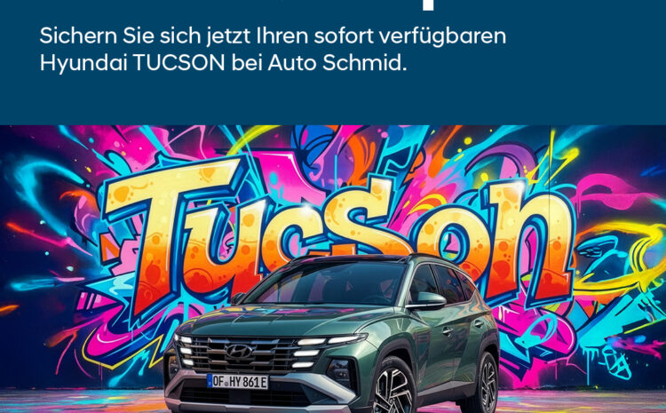  Hyundai Tucson Ersparnis