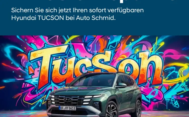  Hyundai TUCSON Ersparnis