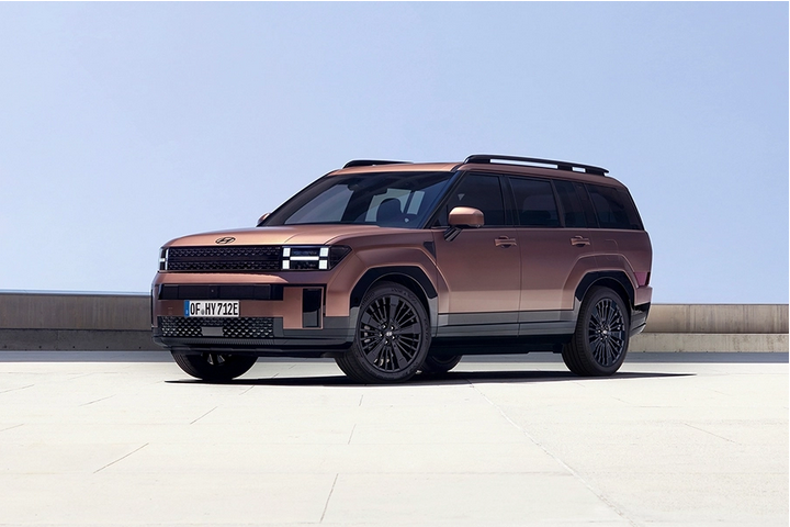 2-Screenshot-2025-06-17-at-16-07-41-Hyundai-SANTA-FE-Autohaus-Arnhoelter